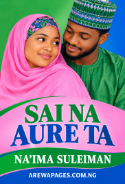 Sai Na Aureta Book Compeleted